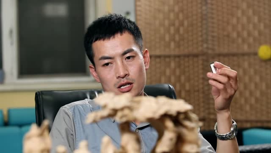 把钱还给我(31 集) 把钱还给我(31 集)热门短剧在线看