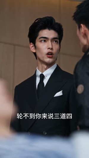 邵总的无声心尖宠第二季（49集）在线看完整版