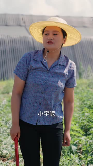 乡野暖阳（40 集）短剧在哪个平台