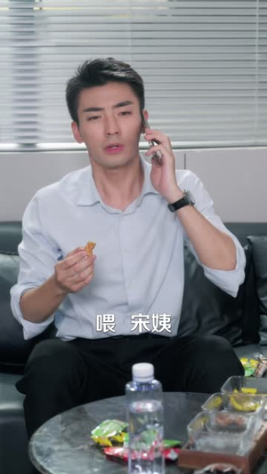 高冷总裁的专职司机（72 集）高清画质免费看