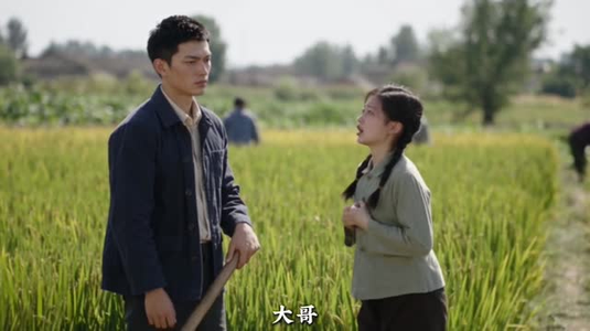 七零穿书:恶毒大嫂不好惹(300集) 七零穿书:恶毒大嫂不好惹(300集)热门短剧又来了