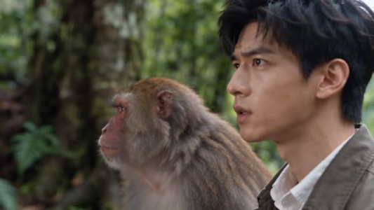 农场萌宠第二季(140集) 农场萌宠第二季(140集)免费看全网短剧