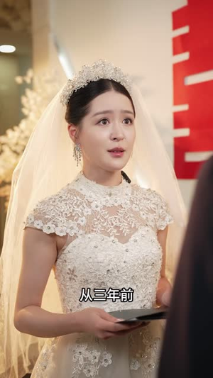 总裁隐婚劫(40 集) 总裁隐婚劫(40 集)解说